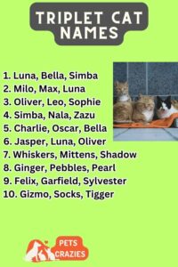 3-cat-names-that-go-together