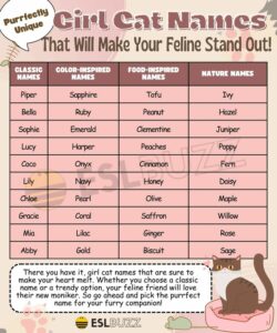 500 Girl Cat Names With Meaning 500-girl-cat-names-with-meaning