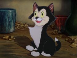 black-and-white-cartoon-cat-names