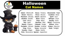black-and-white-halloween-cat-names