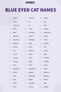 cat-names-for-black-cats-with-blue-eyes