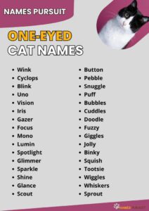 cat-names-for-one-eyed-cats