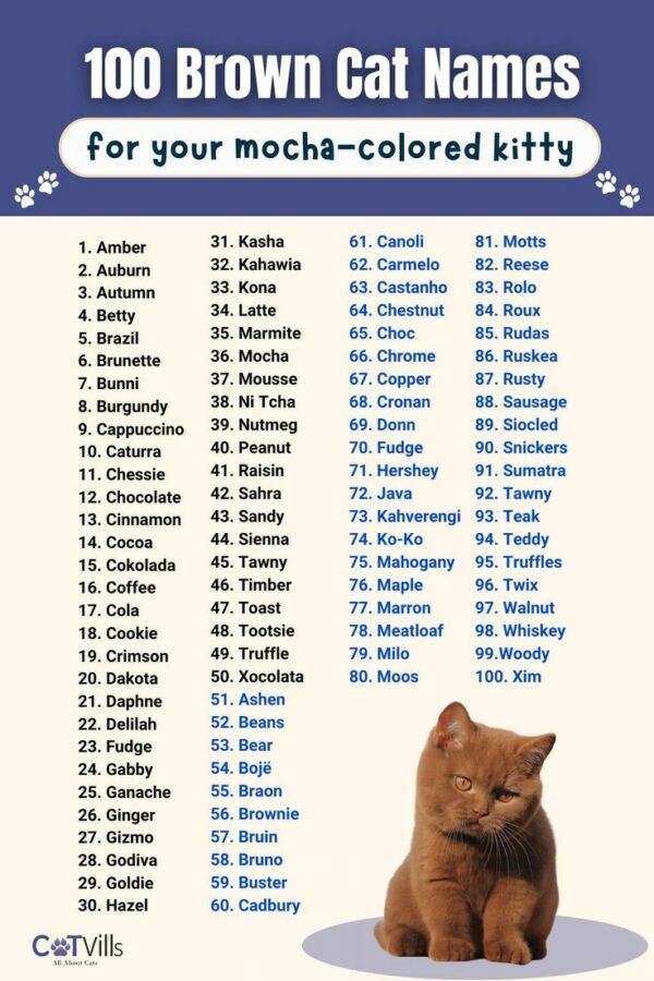 Warrior Cat Names for Brown Cats