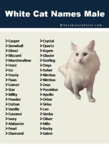 Cat Names for White Female Cats cat-names-for-white-female-cats