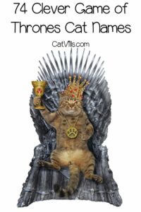 cat-names-from-game-of-thrones