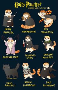 cat-names-inspired-by-harry-potter