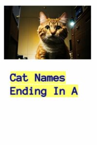 cat-names-that-end-in-a