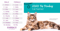 cat-names-that-go-with-milo