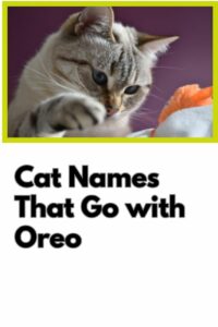 cat-names-that-go-with-oreo