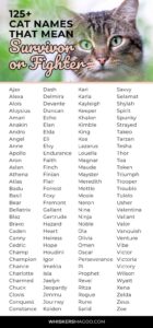 cat-names-that-mean-survivor-or-fighter