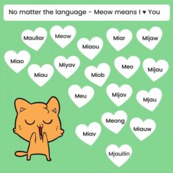 cat-names-with-meow-in-them