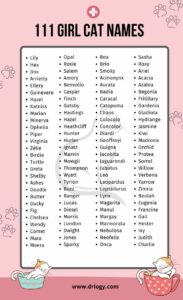 cool-female-cat-names-with-meaning