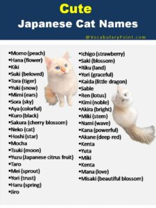 japanese-female-cat-names-with-meaning