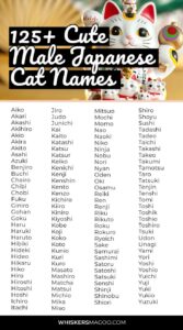 Japanese Male Cat Names With Meaning japanese-male-cat-names-with-meaning