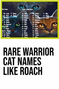 rare-warrior-cat-names-like-roach