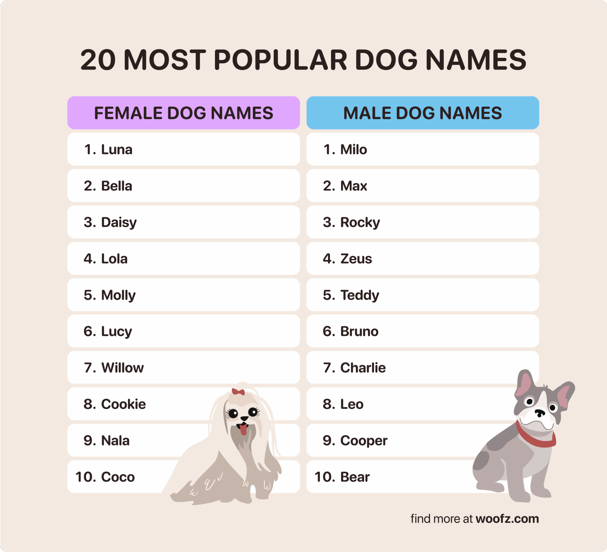 20 Most Popular Dog Names