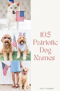 4th-of-july-themed-dog-names