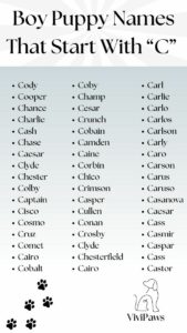 Boy Dog Names That Start With C boy-dog-names-that-start-with-c