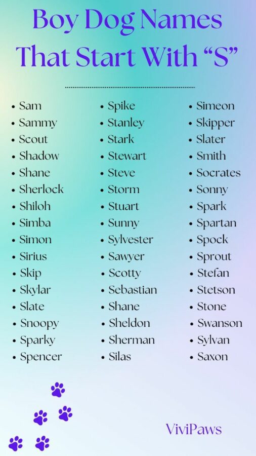 Boy Dog Names That Start With S