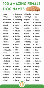 Common Dog Names For Females common-dog-names-for-females