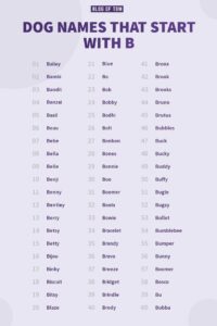 Country Dog Names That Start With B country-dog-names-that-start-with-b