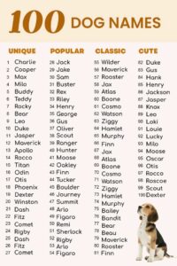 cute-dog-names-for-boys