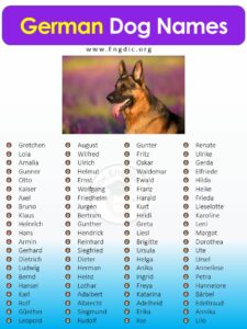Dog Names for a German Shepherd Male dog-names-for-a-german-shepherd-male