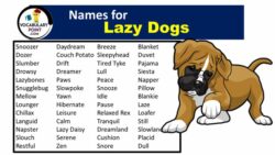 Dog Names for Lazy Dogs dog-names-for-lazy-dogs