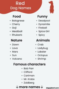 Dog Names for Red Colored Dogs dog-names-for-red-colored-dogs