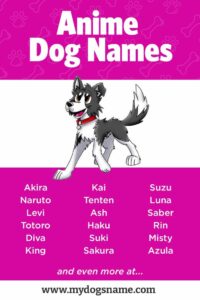 dog-names-inspired-by-anime