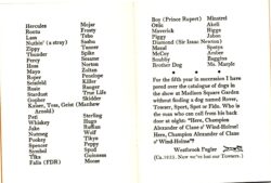 dog-names-inspired-by-books