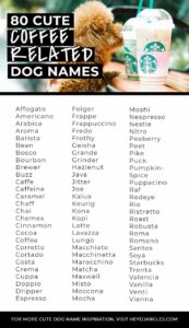 dog-names-inspired-by-coffee
