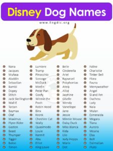 dog-names-inspired-by-disney-movies