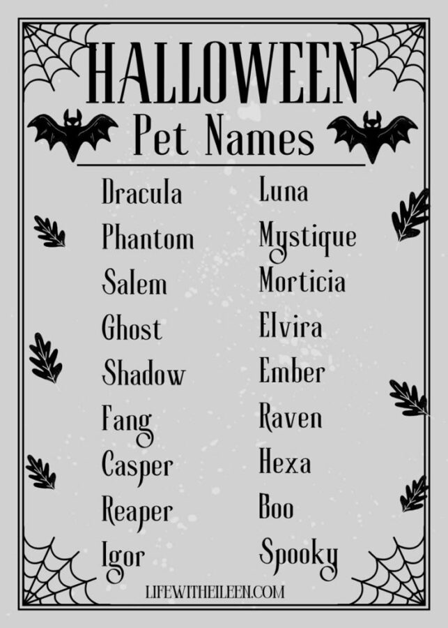Dog Names Inspired by Halloween