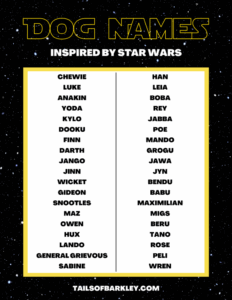 dog-names-inspired-by-star-wars