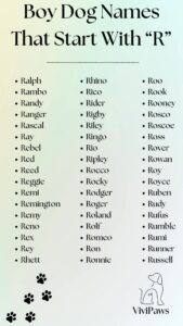 Dog Names That Start With R dog-names-that-start-with-r