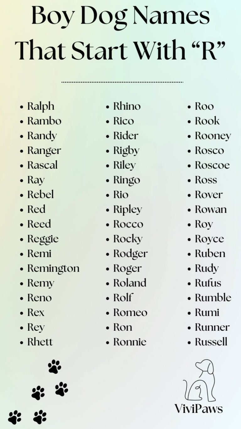 Dog Names That Start With R