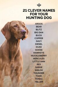 female-dog-names-for-hunting-dogs