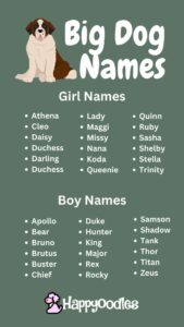 female-dog-names-for-large-breeds