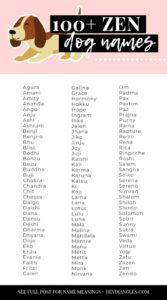female-dog-names-that-have-meaning
