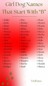 female-dog-names-that-start-with-b