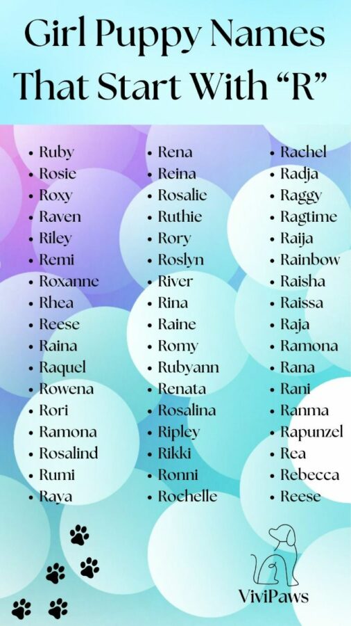 Female Dog Names That Start With R