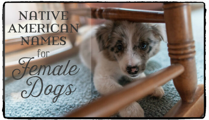 Female Native American Dog Names