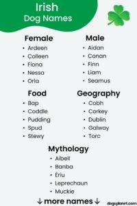 Irish Dog Names for Females irish-dog-names-for-females