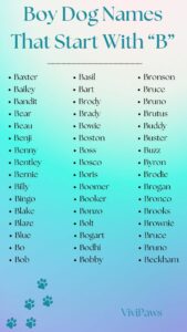 male-dog-names-that-begin-with-b