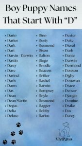 male-dog-names-that-start-with-d