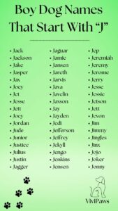 male-dog-names-that-start-with-j