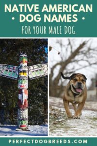 native-american-dog-names-for-males