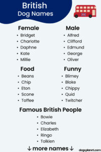 new-england-inspired-dog-names