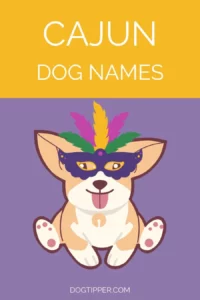 new-orleans-inspired-dog-names